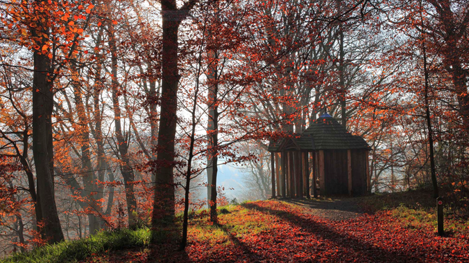 Wooden summer house at Allen Banks surrounded by trees in autumn colours of red and orange